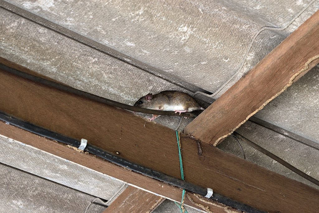 8 Signs of Electrical Issues in Your Home | Electricians in Shallotte, NC