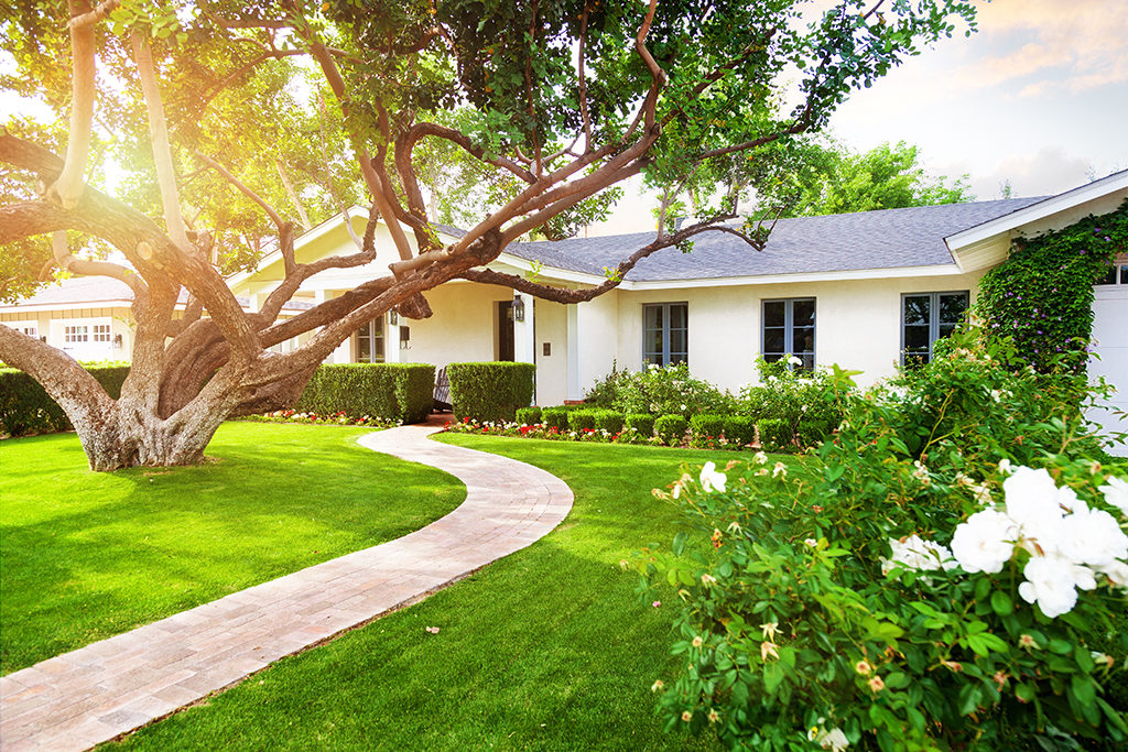 Why You Should Protect Your Property Against Power Surges | Tips from Your Conway, SC Electrician
